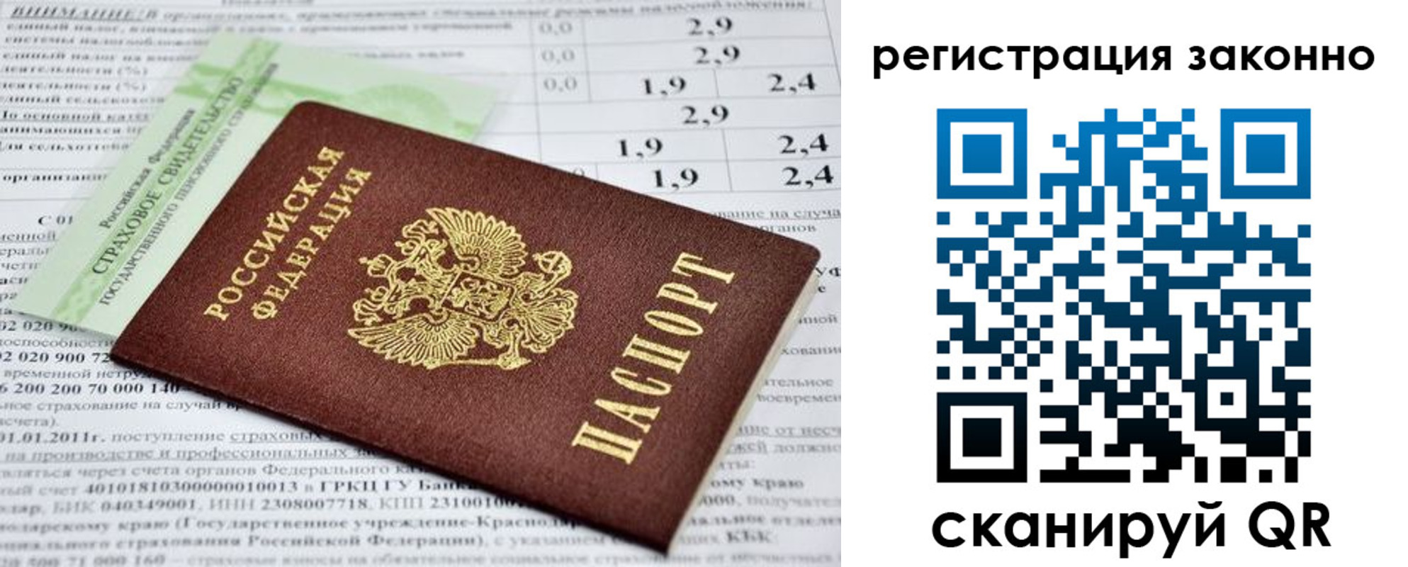 прописка поиск в Шлиссельбурге